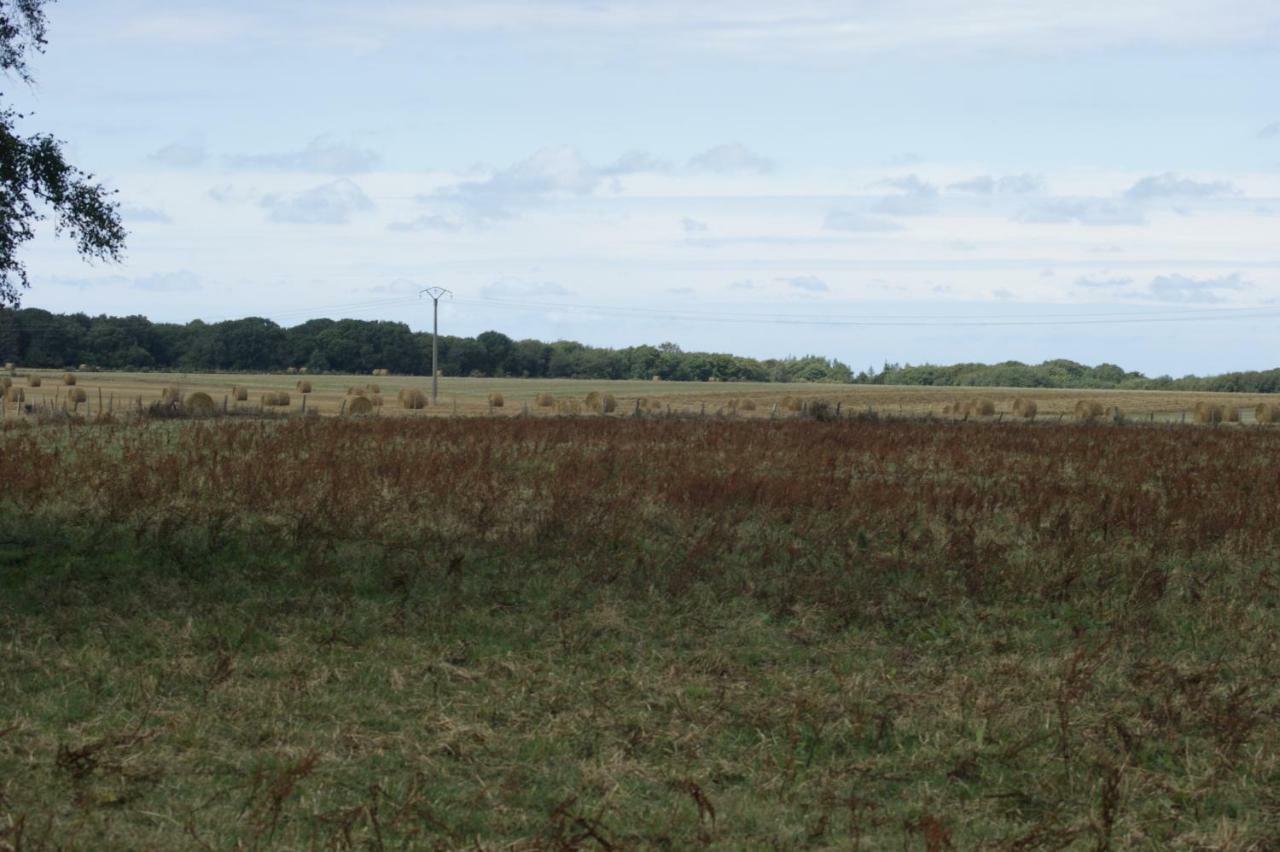 Le Tiot Gite Le Bois de Cise 外观 照片